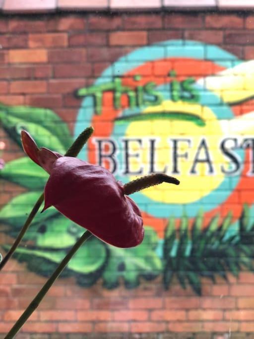 Cosy Two Bed Terraced House 7Min Drive From City Belfast Exterior photo